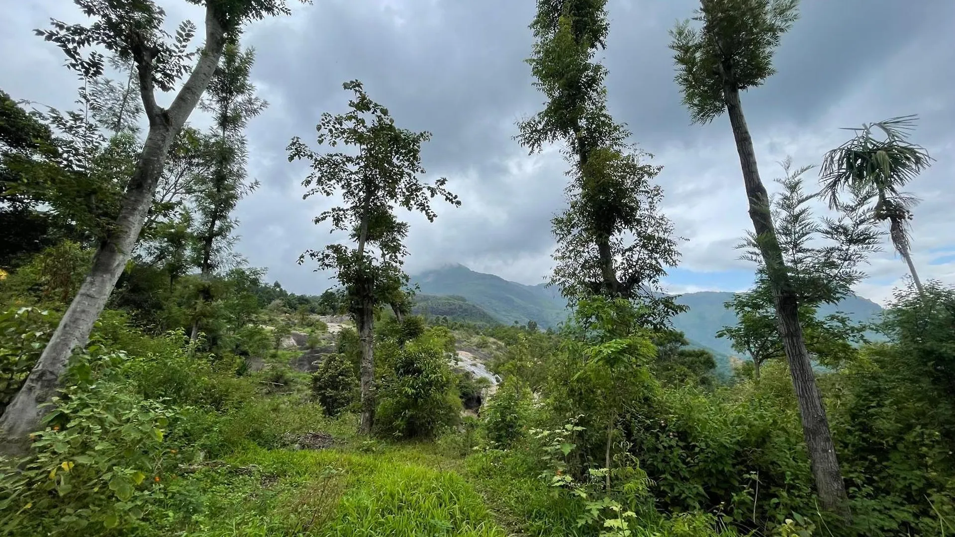 Campeggio 4Acres Farm Stay And Natural Mudhouse Kanthalloor India